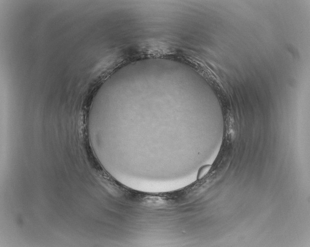 X0000115400519200911171520