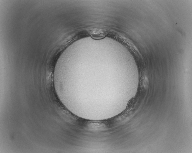 X0000115400521200911171520