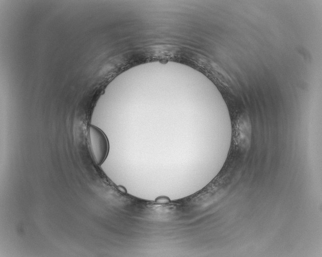X0000115400522200911171520