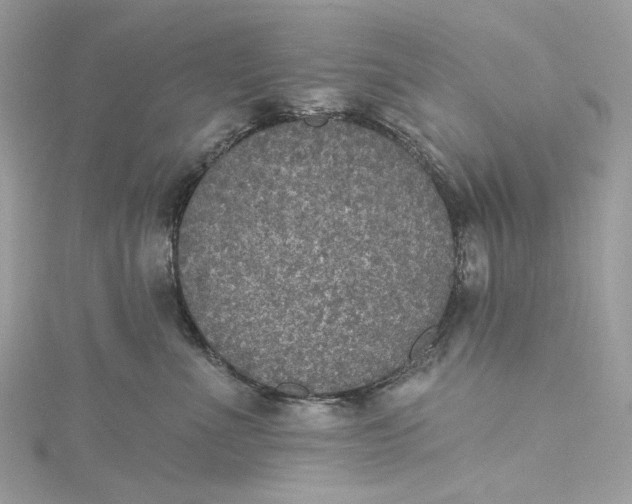 X0000115400523200911171520
