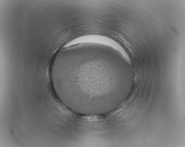 X0000115400524200911171520