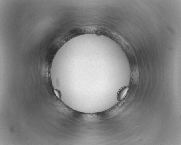 X0000115400525200911171520