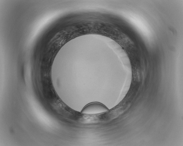 X0000115400526200911171520