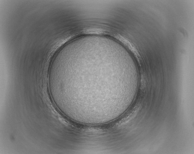 X0000115400529200911171519