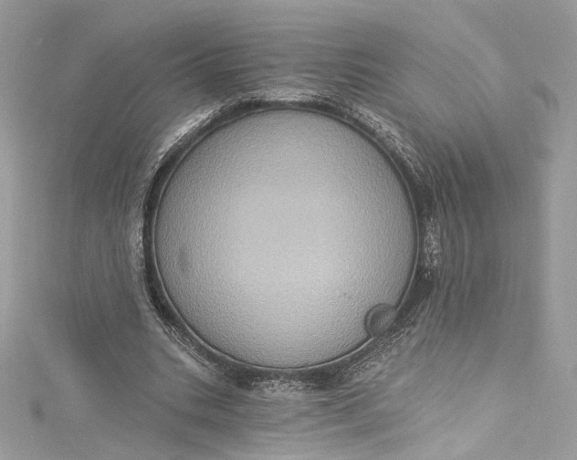 X0000115400535200911171519