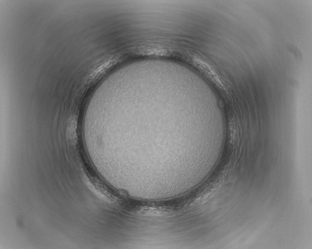 X0000115400538200911171519
