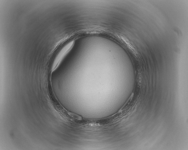 X0000115400543200911171520
