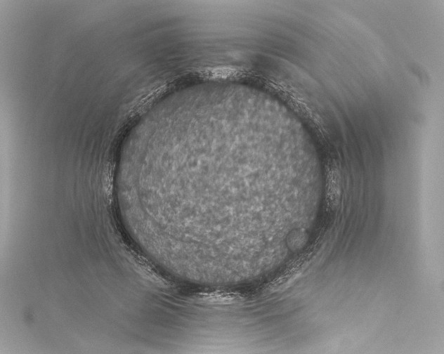X0000115400545200911171520