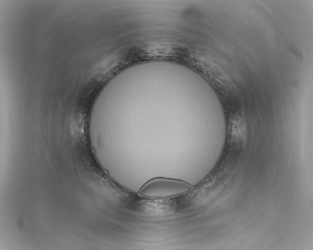 X0000115400567200911171520