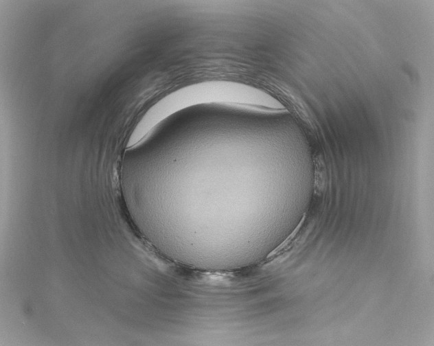 X0000115400573200911171520