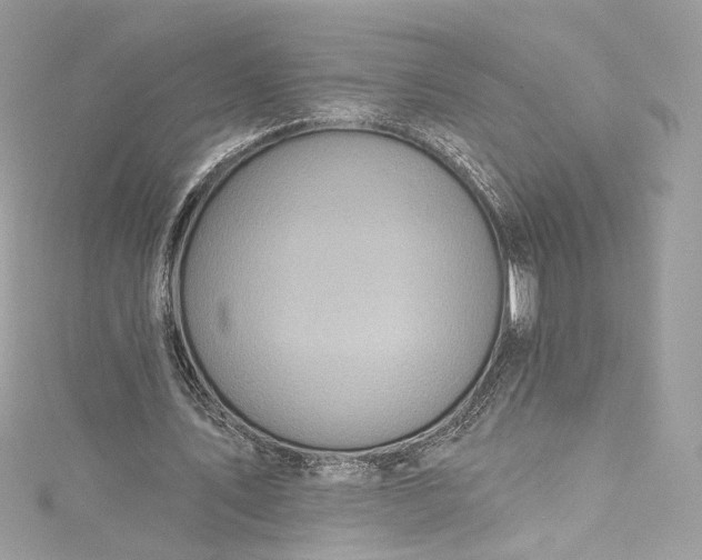 X0000115400579200911171519