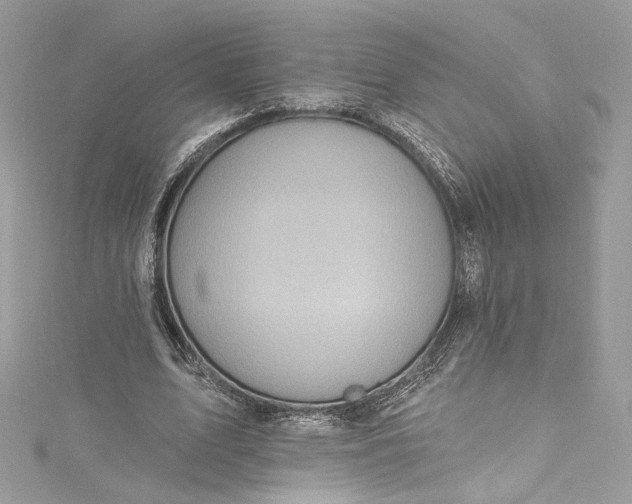 X0000115400583200911171519