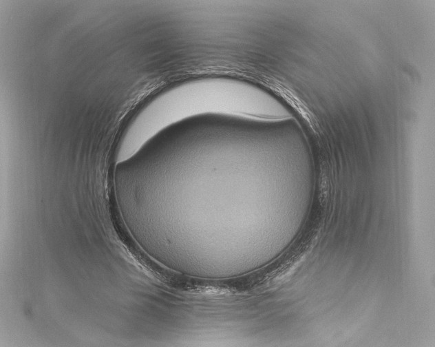 X0000115400585200911171519
