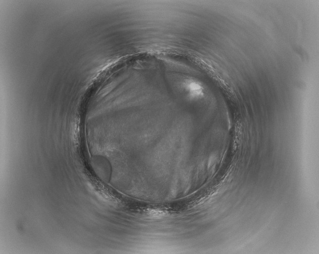 X0000115400592200911171519