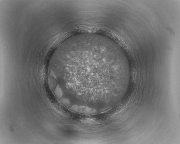 X0000115400594200911171519