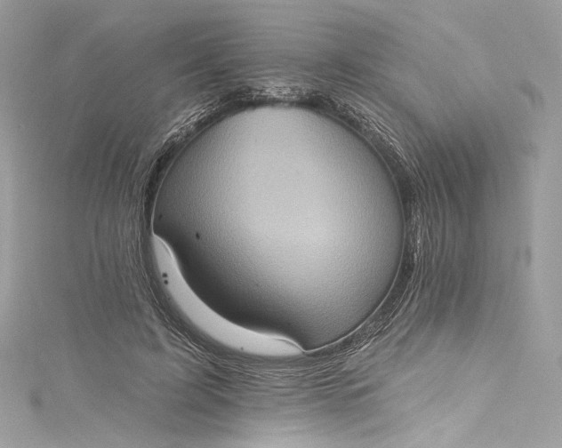X0000115400595200911171519