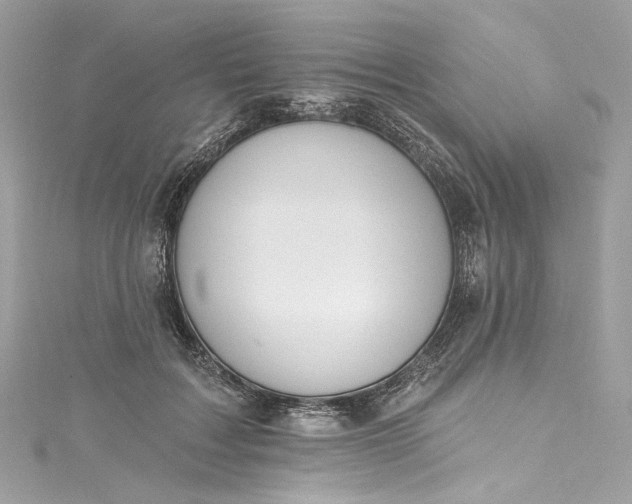 X0000115400603200911171519