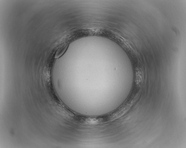 X0000115400613200911171519