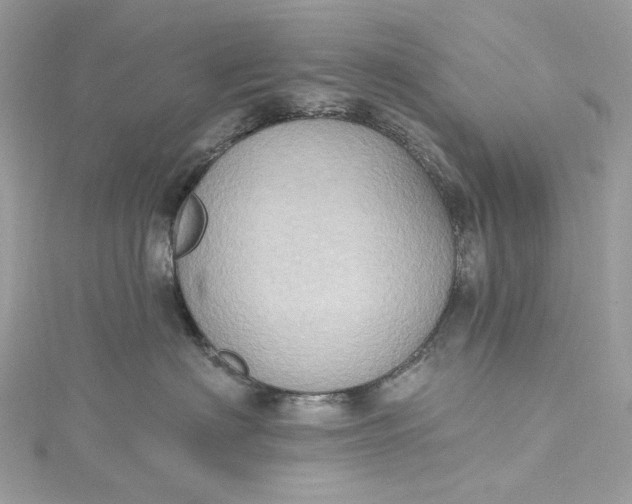 X0000115400622200911171519