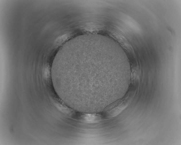 X0000115400623200911171519