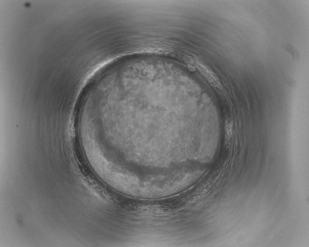 X0000115400628200911171518