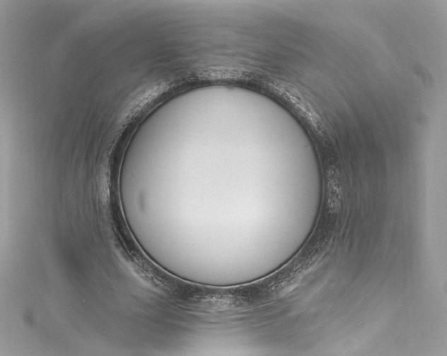 X0000115400631200911171518