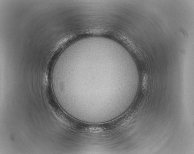 X0000115400636200911171518