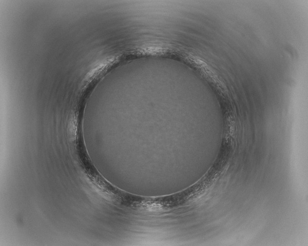 X0000115400640200911171518