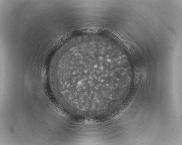 X0000115400641200911171518