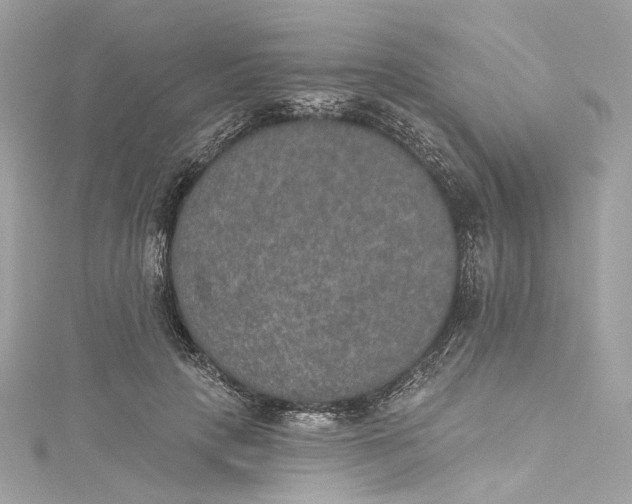 X0000115400649200911171518
