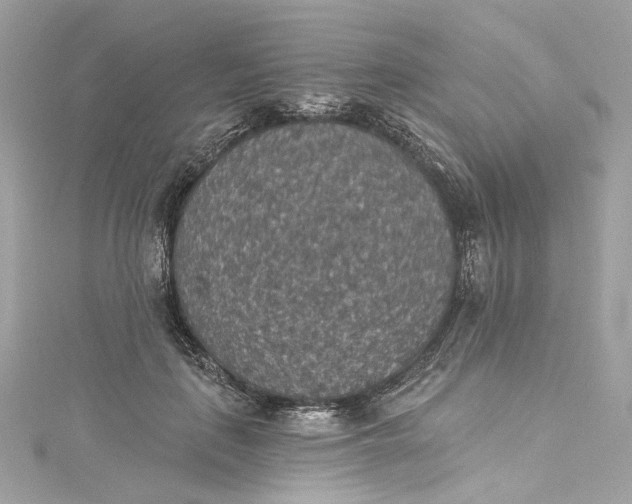 X0000115400651200911171518