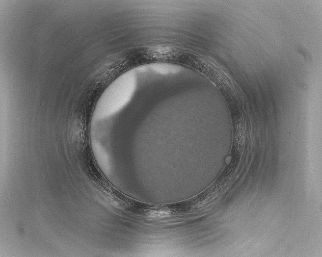 X0000115400653200911171518