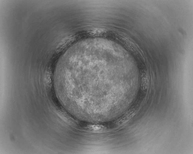 X0000115400654200911171518