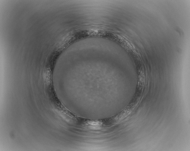X0000115400659200911171518