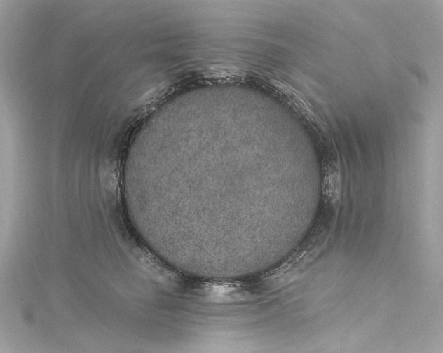 X0000115400662200911171518