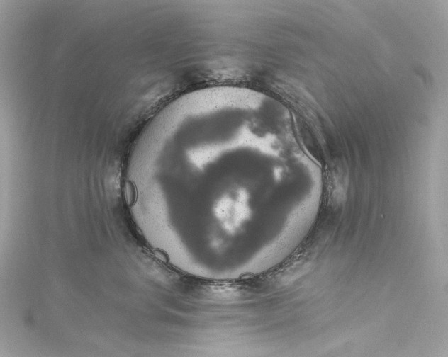 X0000115400668200911171519