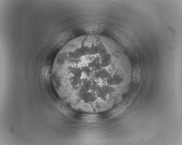 X0000115400671200911171519