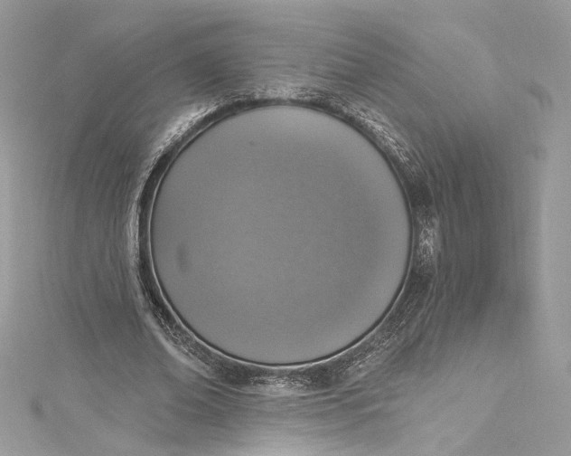 X0000115400678200911171518