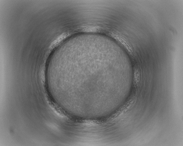 X0000115400682200911171518
