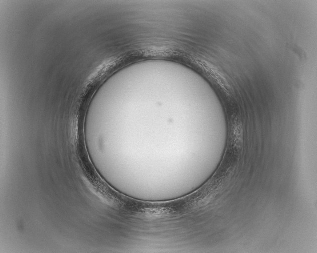 X0000115400686200911171518