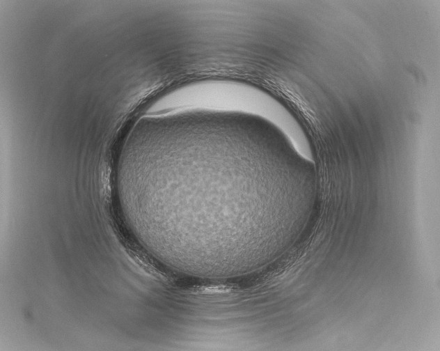 X0000115400692200911171518
