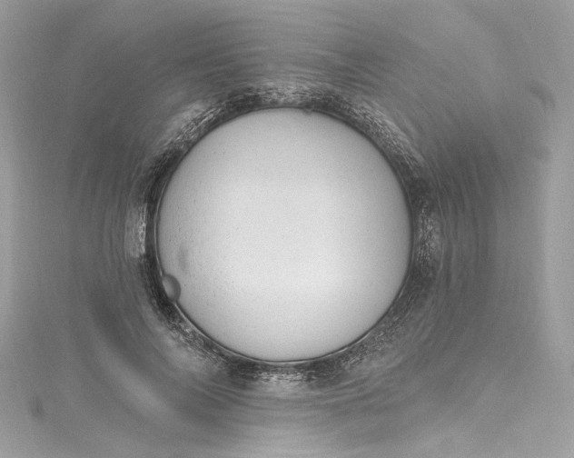 X0000115400694200911171518