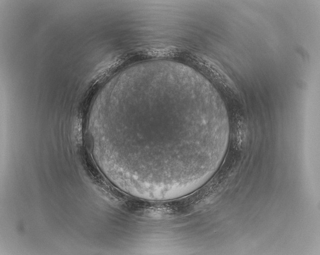 X0000115400696200911171518