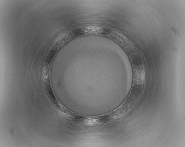 X0000115400701200911171518