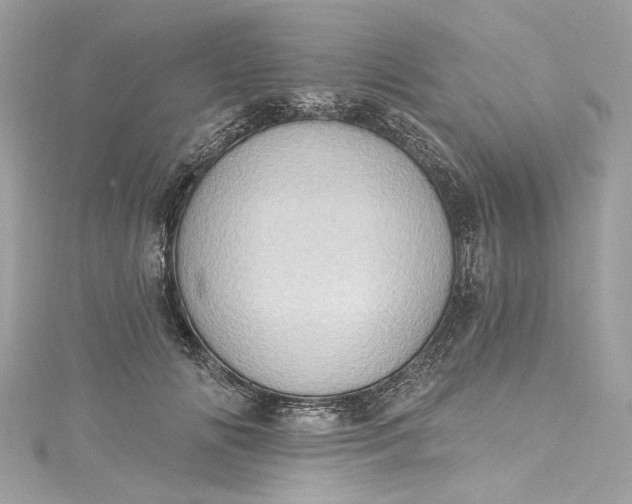 X0000115400702200911171518