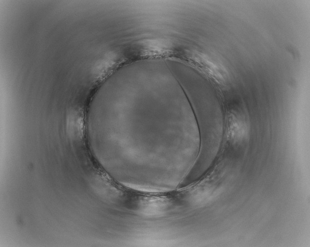 X0000115400716200911171517