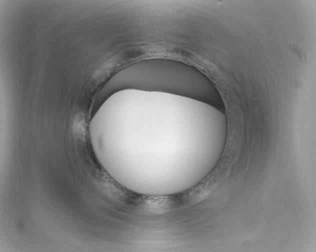 X0000115400720200911171517