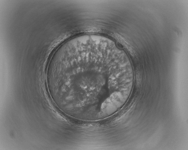 X0000115400721200911171517