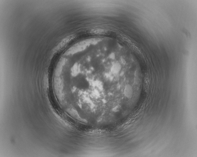 X0000115400734200911171517