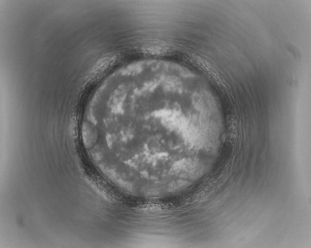 X0000115400738200911171517
